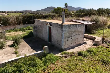 Venta Fincas en Manacor Mallorca