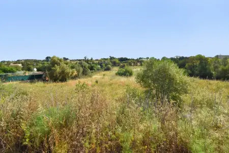 Venta Terrenos en Manacor Mallorca