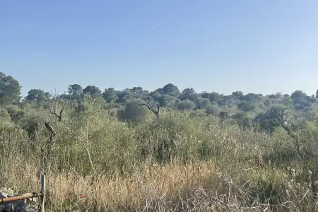 Venta Terrenos en Son Carrio Mallorca