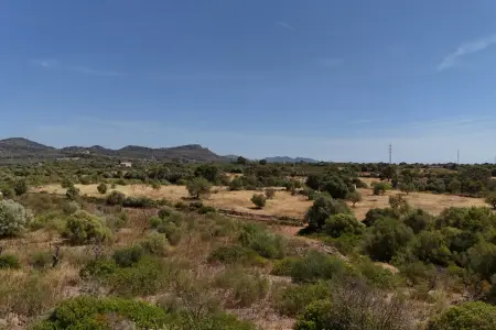 Venta Terrenos en Son Carrio Mallorca