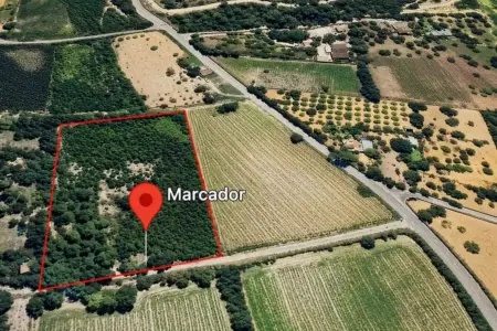 Venta Terrenos en Son Macia Mallorca