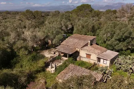 Venta Fincas en Costitx Mallorca