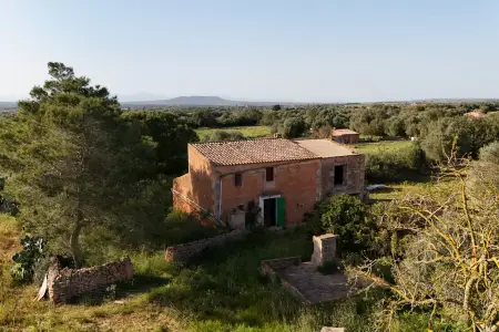 Venta Fincas en Felanitx Mallorca