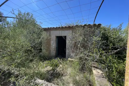 Venta Fincas en San Lorenzo Mallorca