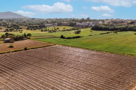 Venta Terrenos en Petra Mallorca
