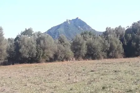 Venta Terrenos en Felanitx Mallorca