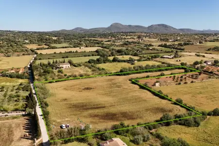 Venta Terrenos en Manacor Mallorca