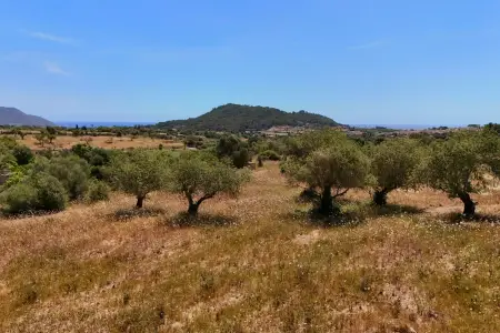 Venta Terrenos en Son Servera Mallorca