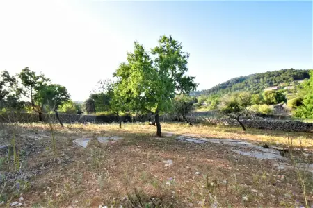 Venta Terrenos en Son Servera Mallorca