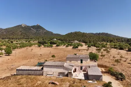 Venta Fincas en Felanitx Mallorca
