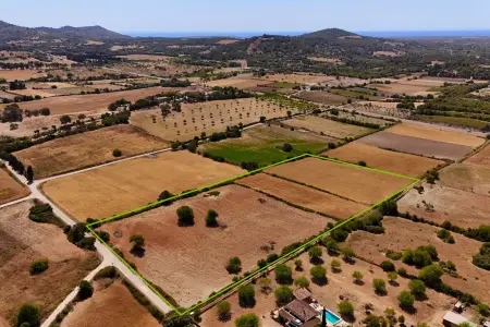 Venta Terrenos en San Lorenzo Mallorca