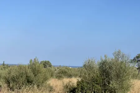 Venta Terrenos en Porto Cristo Mallorca