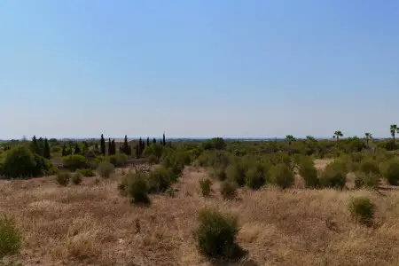Venta Terrenos en Porto Cristo Mallorca