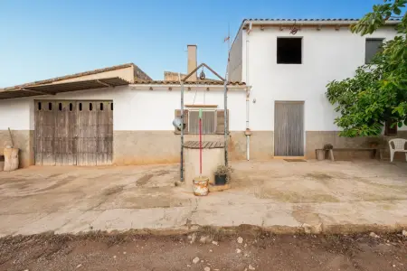 Venta Fincas en Manacor Mallorca