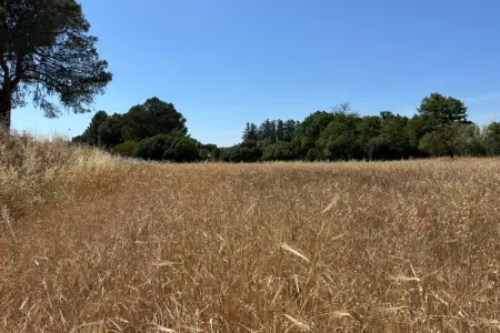 Venta Terrenos en Manacor Mallorca